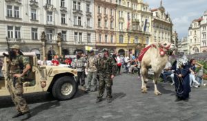 Camel immigrates to Prague.